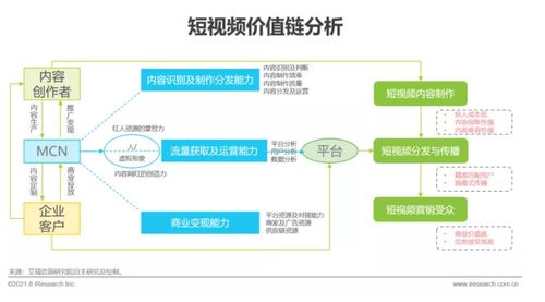 2021年中國企業服務研究報告 信息咨詢服務市場分析與展望
